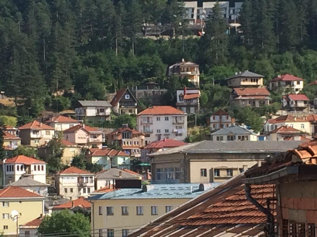 Villa Flora Apartments Krushevo Kruševo Exteriör bild